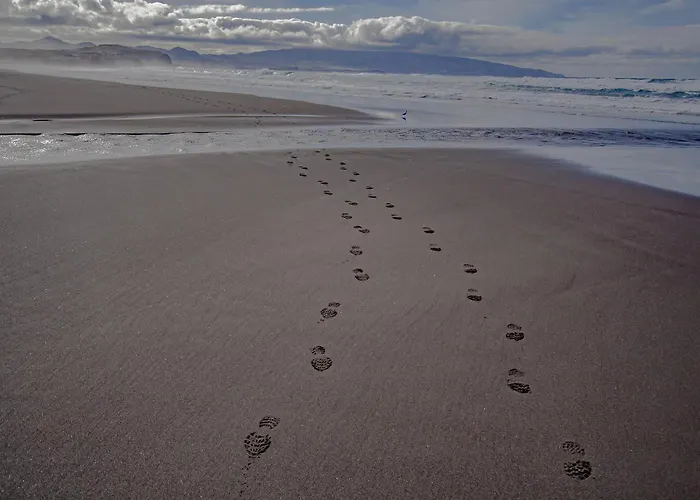 Canto Na Relva Ponta Delgada (Sao Miguel)